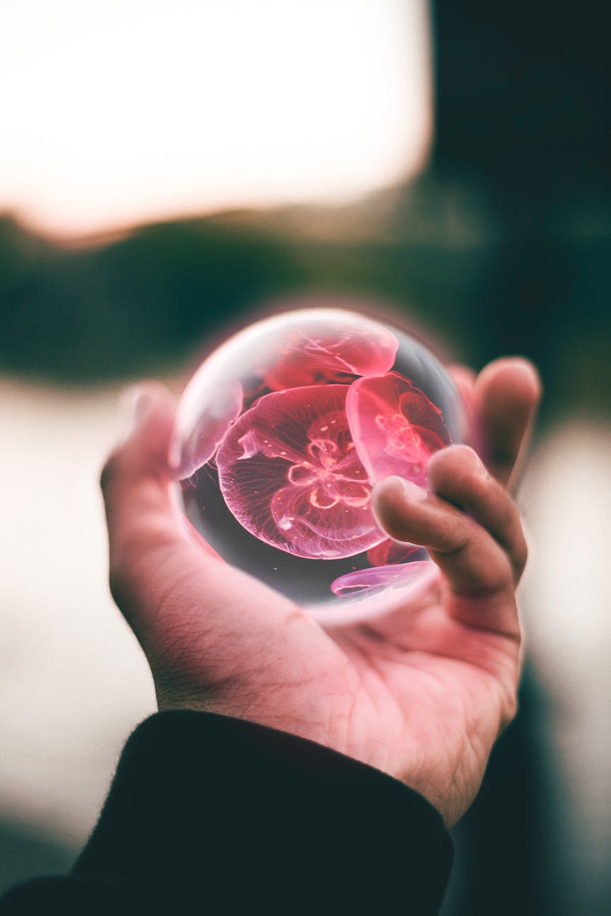 person holding clear and red floral ball