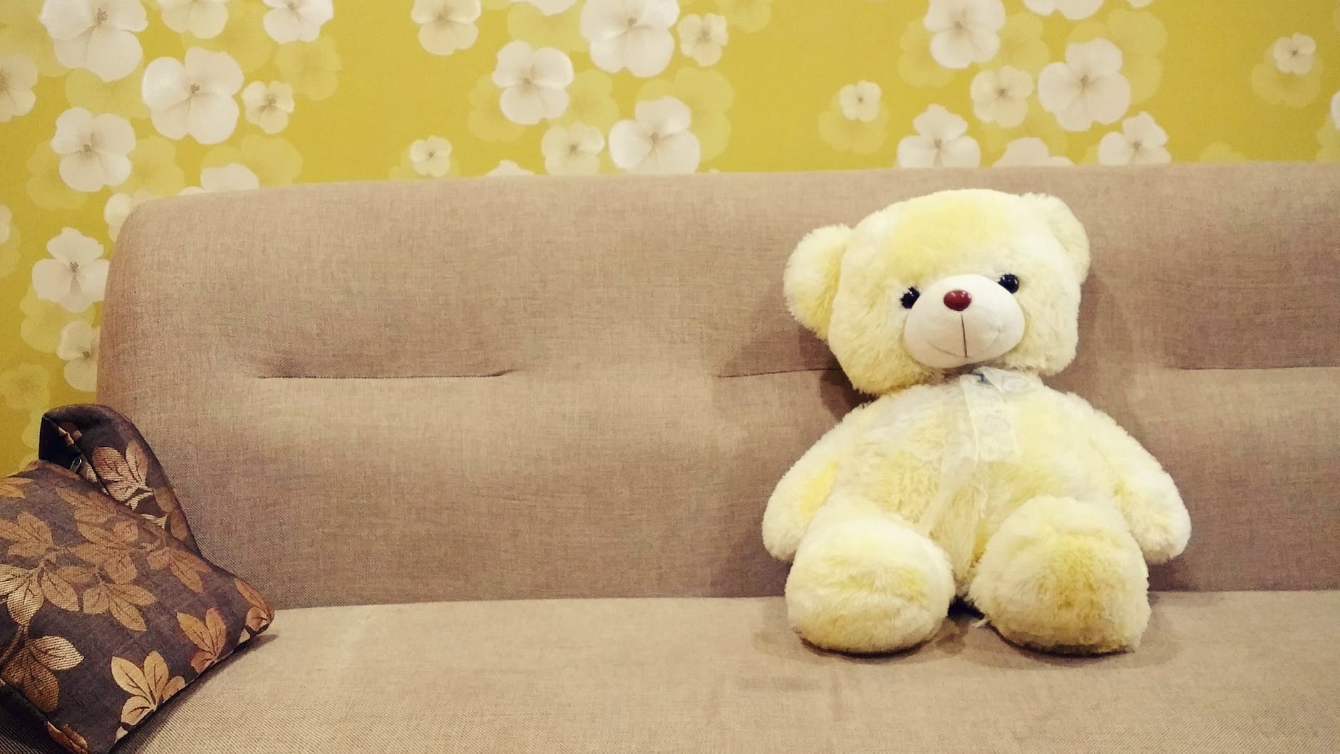 teddy bear on sofa